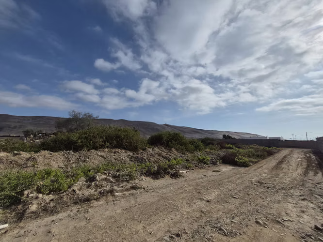 LLUTA LOTE DE 5.000 M2 KM 3