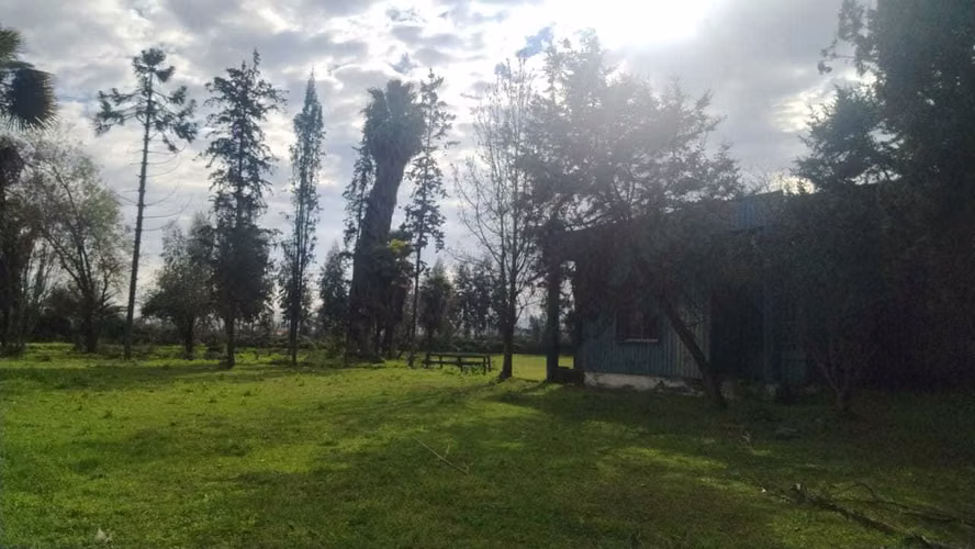 Terreno Industrial 100.000 m² con Acceso Directo (182184) - Imagen 4