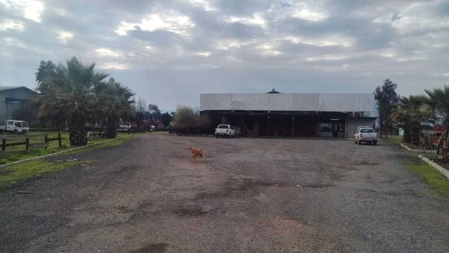 Terreno Industrial 100.000 m² con Acceso Directo (182184)