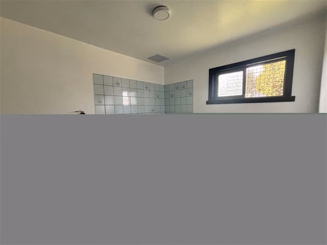 ARRIENDO COMERCIAL EN CAM.INTERNACIONAL PUCÓN - Imagen 17