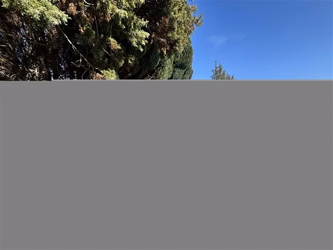 ARRIENDO COMERCIAL EN CAM.INTERNACIONAL PUCÓN - Imagen 23