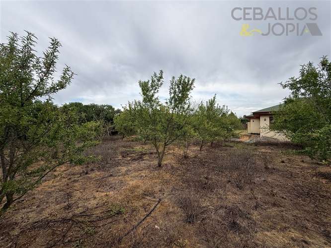 Parcela en venta en Olmué