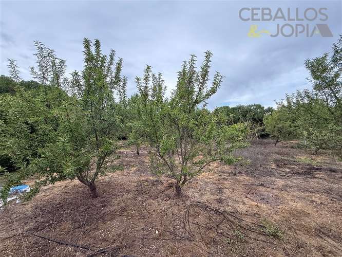 Parcela en venta en Olmué