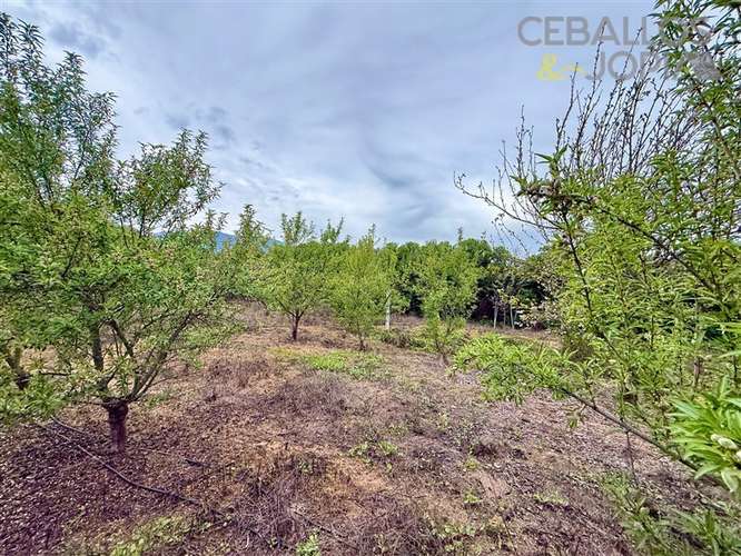 Parcela en venta en Olmué