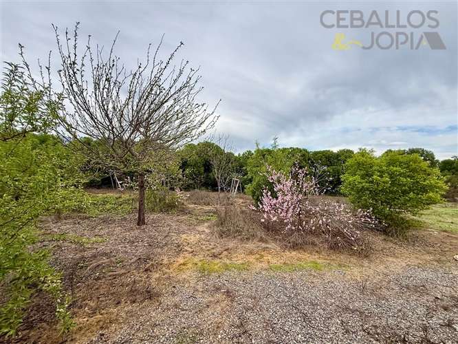 Parcela en venta en Olmué