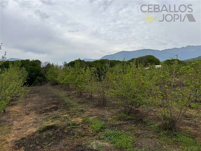 Parcela en venta en Olmué