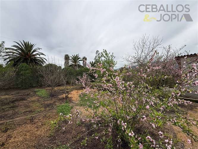 Parcela en venta en Olmué