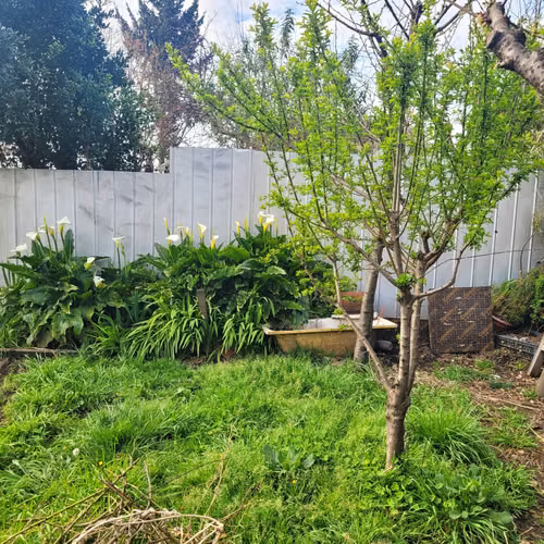 Casa en venta a pasos del centro de Villarrica - Imagen 6