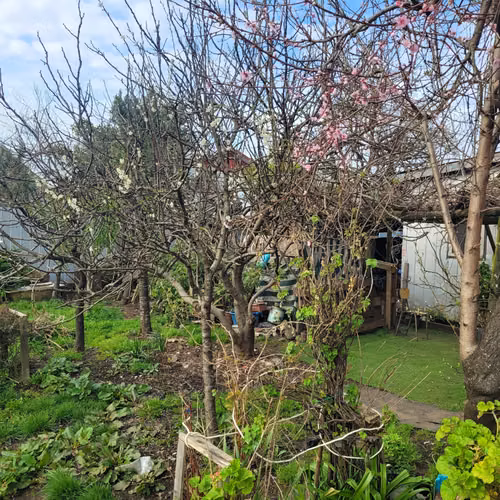 Casa en venta a pasos del centro de Villarrica - Imagen 7