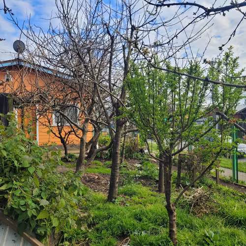 Casa en venta a pasos del centro de Villarrica - Imagen 5