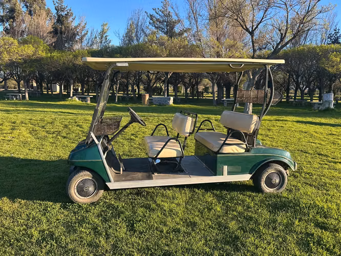 Carro eléctrico de Golf - Imagen 3