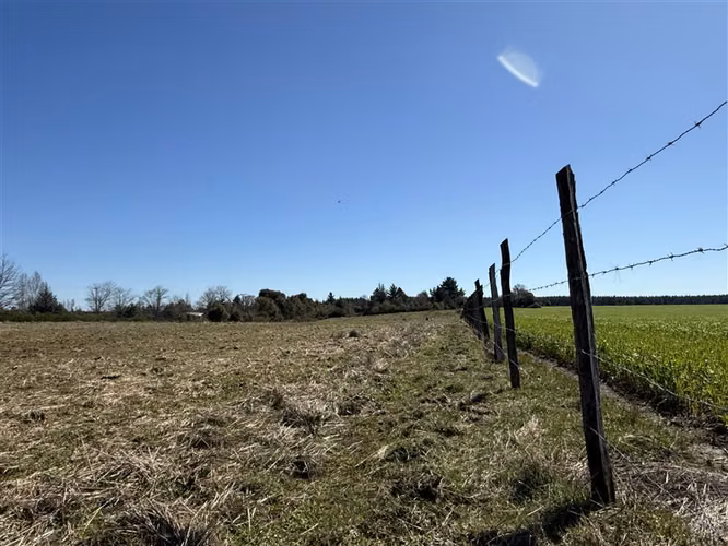 Parcela en venta en Pinto - Imagen 4