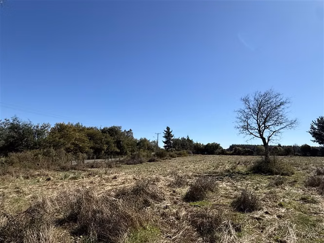 Parcela en venta en Pinto - Imagen 9