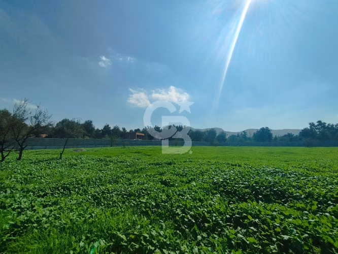 Arriendo terreno comercial | Piedra Roja, Chicureo