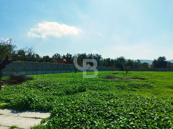 Arriendo terreno comercial | Piedra Roja, Chicureo