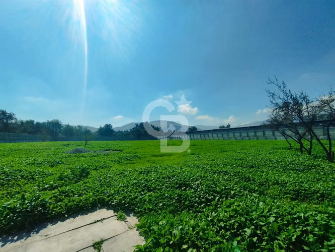 Arriendo terreno comercial | Piedra Roja, Chicureo