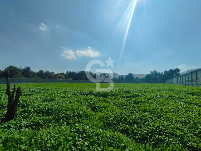 Arriendo terreno comercial | Piedra Roja, Chicureo
