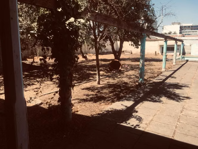 Se vende Terreno en el centro de Rancagua. - Imagen 7