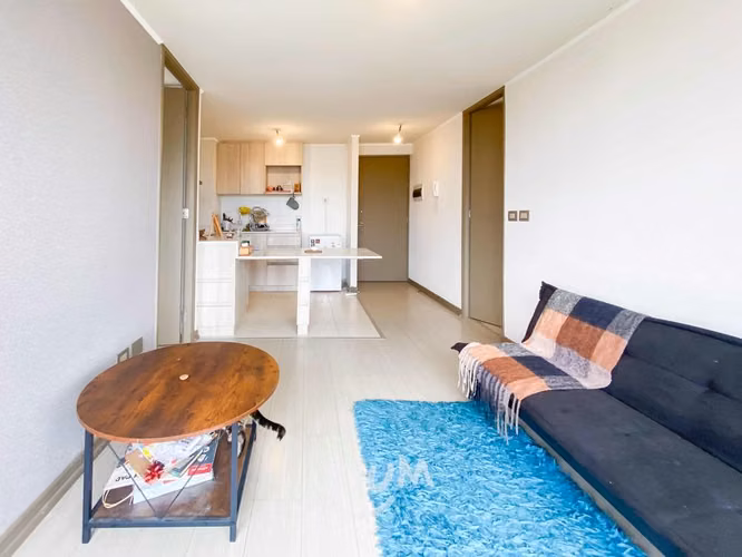 Departamento en Ignacio Carrera Pinto - Imagen 8