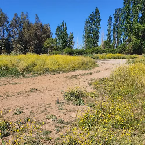 Terreno Construccion  en Venta en San Fernando