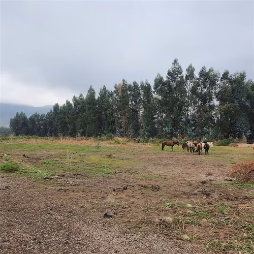 Terreno Construccion  en Venta en San Fernando