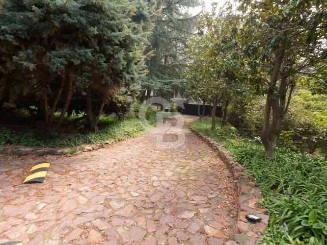 Sofisticación y Naturaleza en un Solo Lugar - Lo Barnechea - Imagen 19