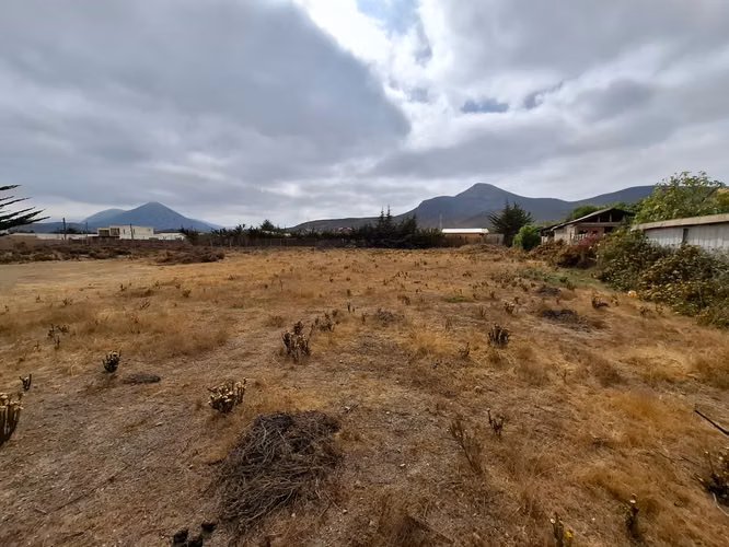 Terreno a pasos de Ruta 5 Pichidangui Sur. Quilimarí. Los Vilos - Imagen 9