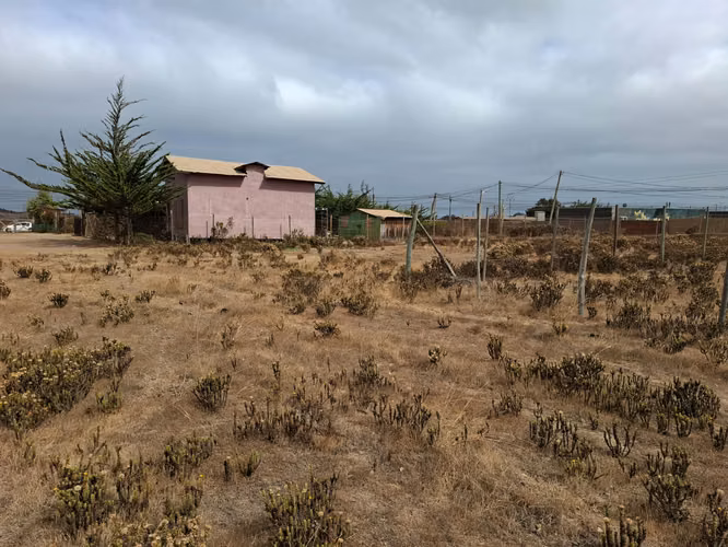 Terreno a pasos de Ruta 5 Pichidangui Sur. Quilimarí. Los Vilos - Imagen 16