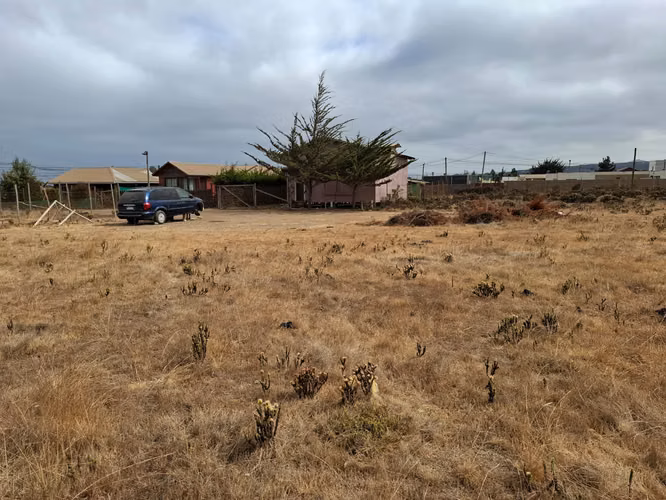 Terreno a pasos de Ruta 5 Pichidangui Sur. Quilimarí. Los Vilos - Imagen 11