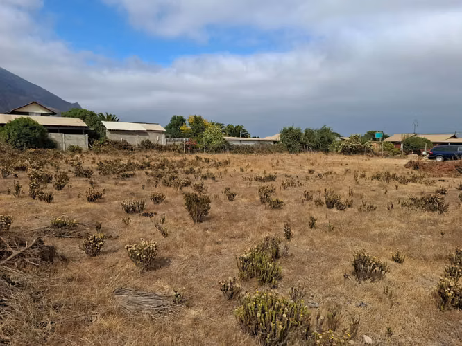 Terreno a pasos de Ruta 5 Pichidangui Sur. Quilimarí. Los Vilos - Imagen 14