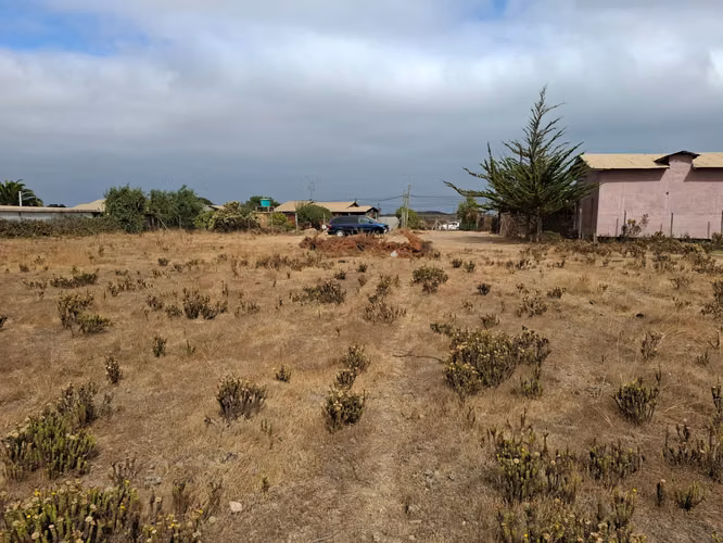 Terreno a pasos de Ruta 5 Pichidangui Sur. Quilimarí. Los Vilos - Imagen 15