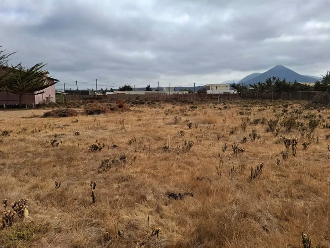 Terreno a pasos de Ruta 5 Pichidangui Sur. Quilimarí. Los Vilos - Imagen 12
