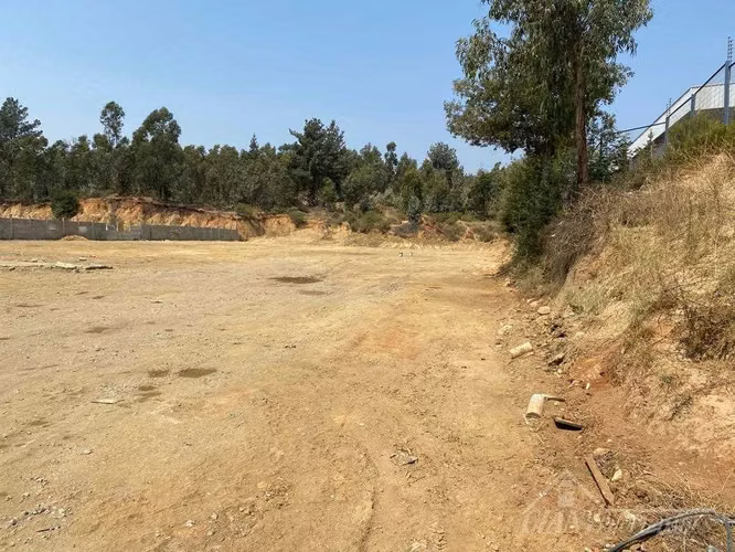 Inversión industrial 5.000 mts Placilla Valpo. (182512) - Imagen 13