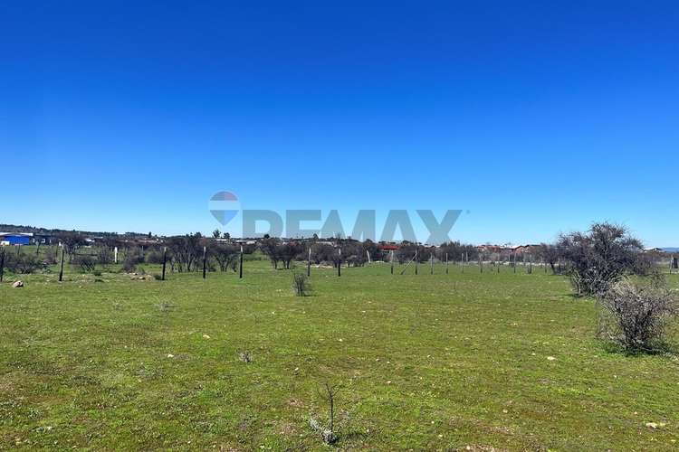 Terreno 5.000 m², la martina (litueche)