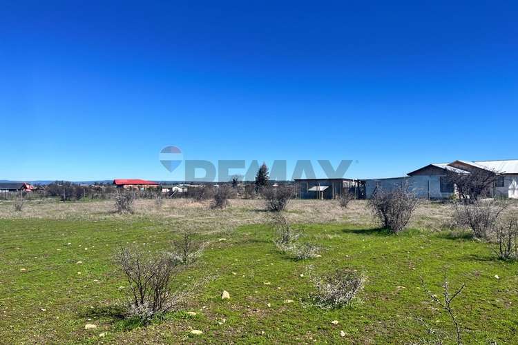 Terreno 5.000 m², la martina (litueche)