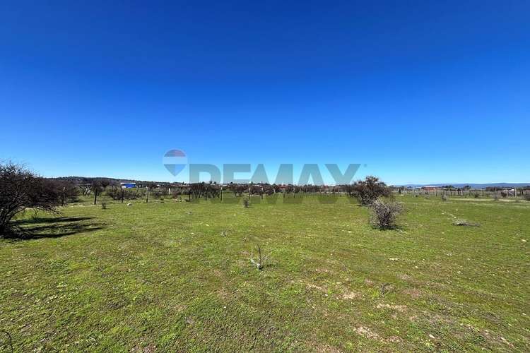Terreno 5.000 m², la martina (litueche)