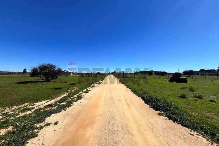 Terreno 5.000 m², la martina (litueche)