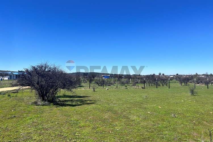 Terreno 5.000 m², la martina (litueche)