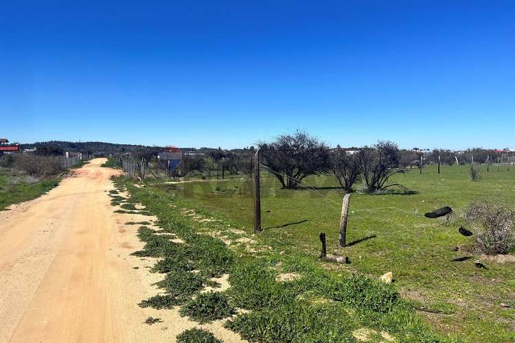 Terreno 5.000 m², la martina (litueche)