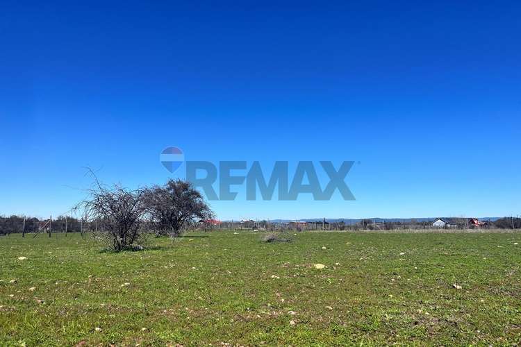 Terreno 5.000 m², la martina (litueche)