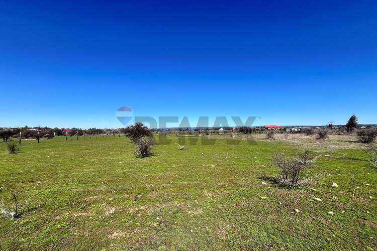 Terreno 5.000 m², la martina (litueche)