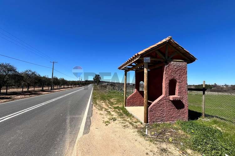 Terreno 5.000 m², la martina (litueche)