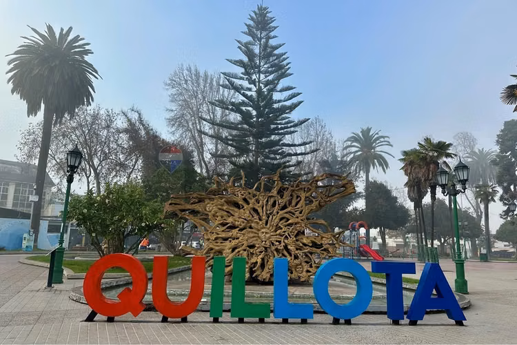 Campo agrícola 24,32 ha san pedro quillota