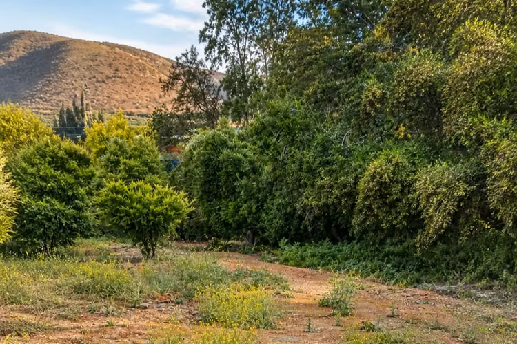 Campo agrícola 24,32 ha san pedro quillota