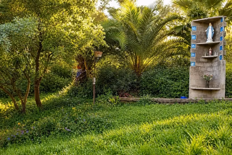 Campo agrícola 24,32 ha san pedro quillota