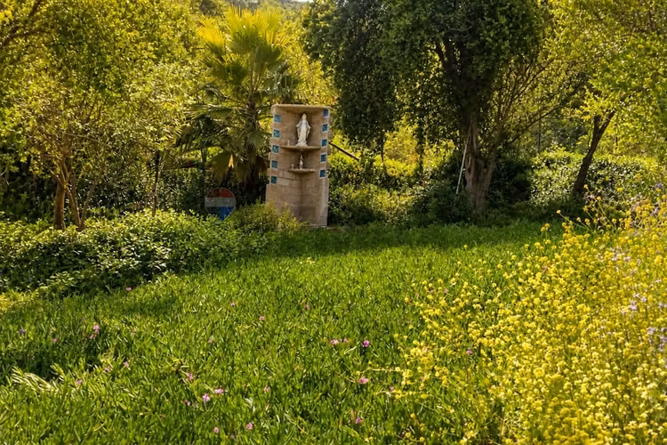 Campo agrícola 24,32 ha san pedro quillota
