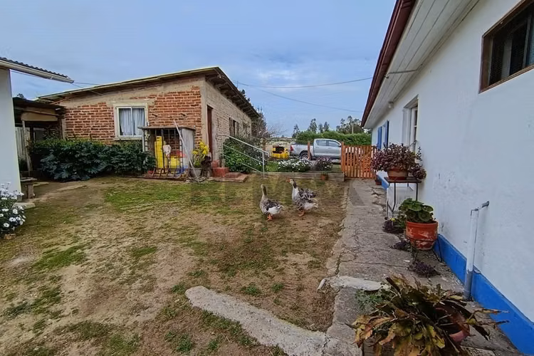 Exclusiva casa de campo en venta | san antonio - Imagen 26