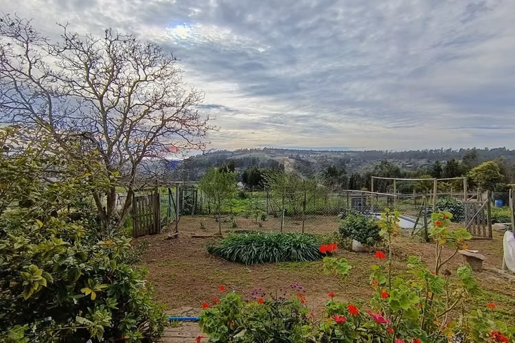 Exclusiva casa de campo en venta | san antonio - Imagen 19