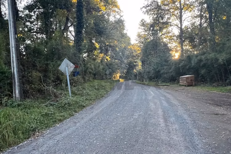 Venta parcela 5.009 m² cercana al río trancura - Imagen 13