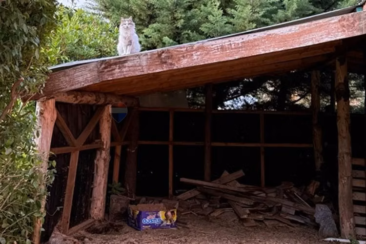 Arriendo casa 3d 2b camino al volcán, pucón - Imagen 13